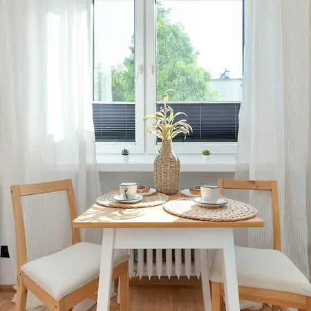 Comfortable Pet-friendly With A Desk By Renters Gdynia