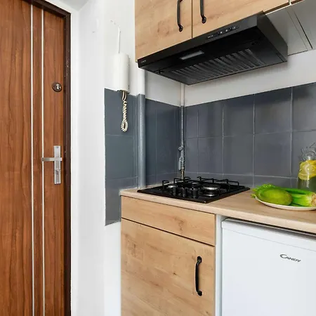Comfortable Pet-friendly With A Desk By Renters * Gdyně
