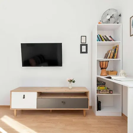 Comfortable Pet-friendly With A Desk By Renters Appartement *